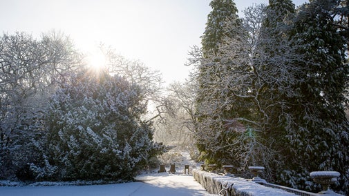 Snow covering the edge of the front lawn at Lyme, Cheshire, with a burst of sunlight peeking over the trees.